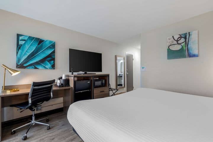 Room 14 of 41